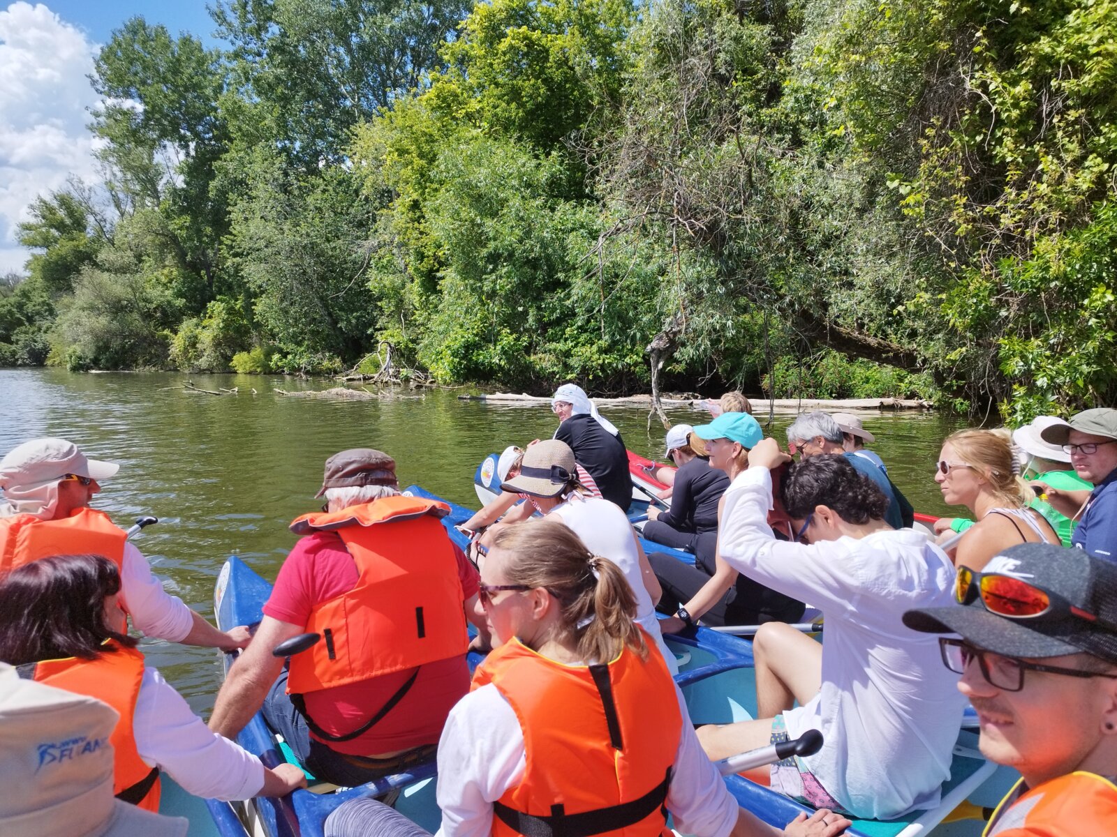 Céges csoport mentőmellényben, kenukban a Tisza-tó egyik holtágán