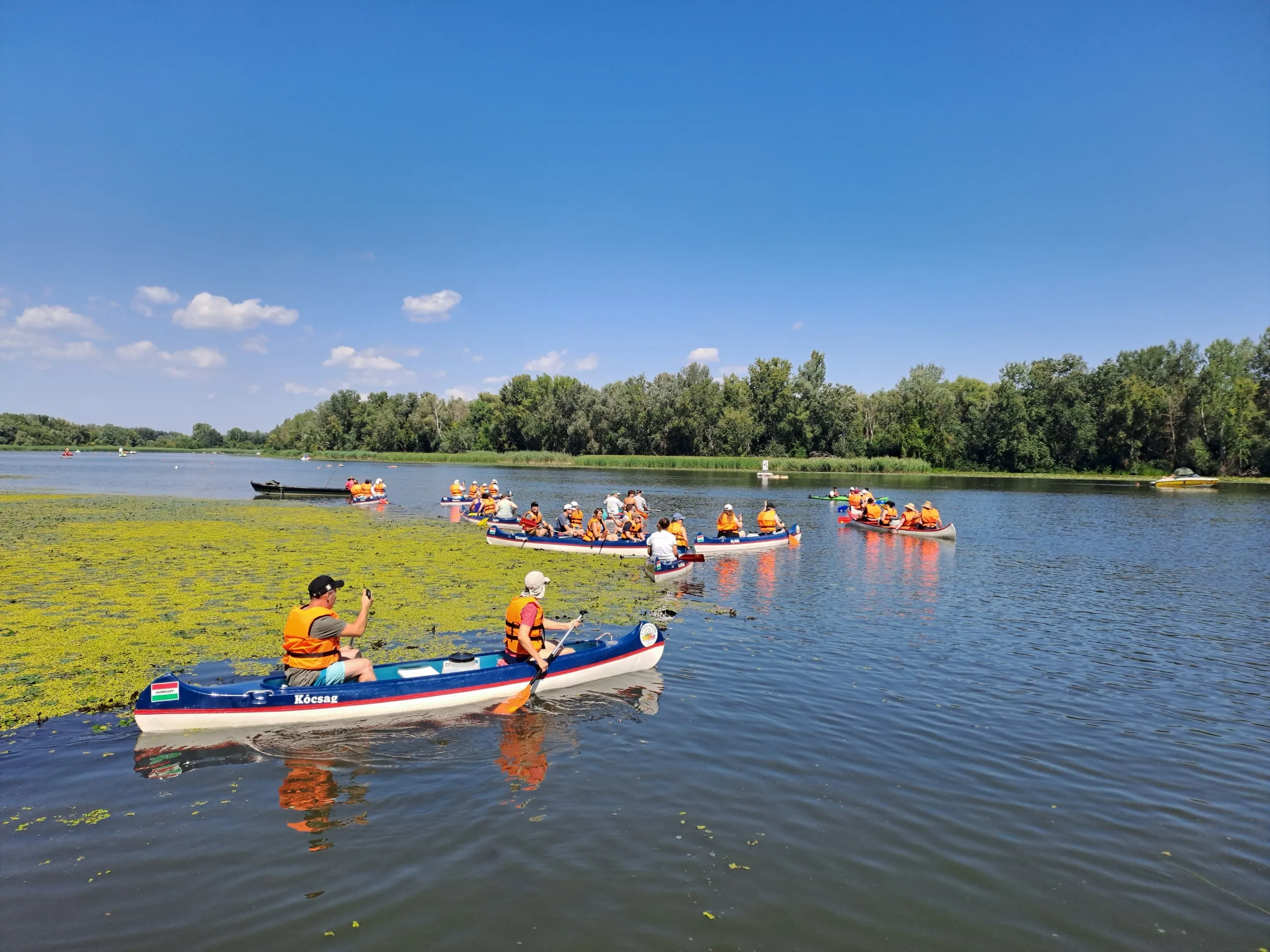 Kenus diákcsoportok a Tisza-tó nyílt vizén, az előtérben tavirózsás part